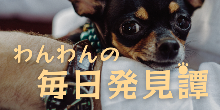 カワイイがいっぱい！ワンダーランド